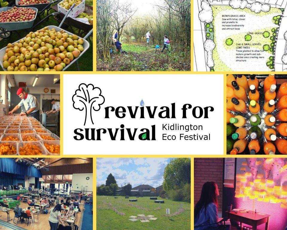 Revival for Survival picture