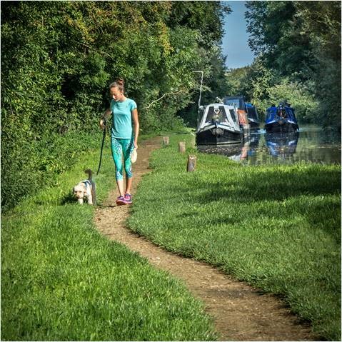 a lady in all blue walking a small dog on a path next to the canal which has a boat on it.