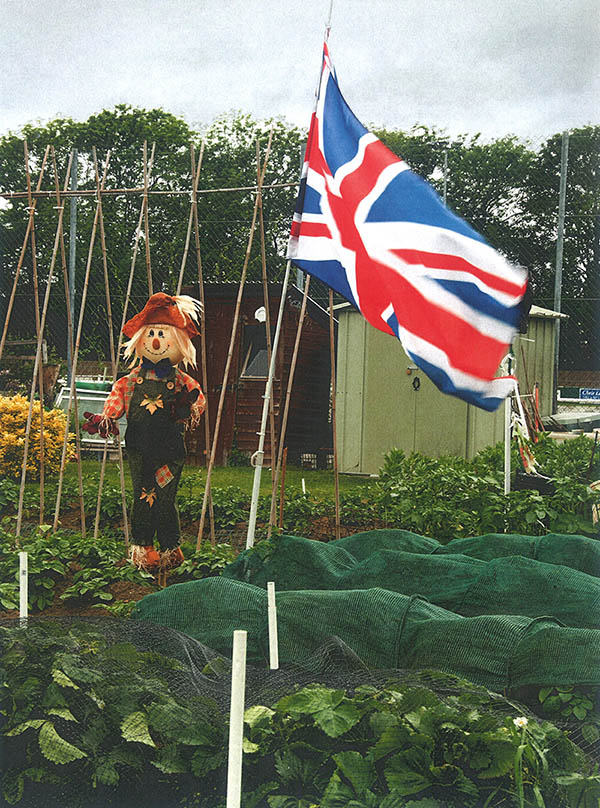 -scarecrow
