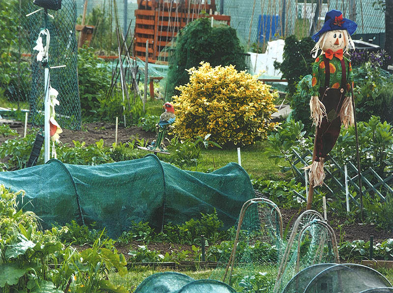 scarecrow