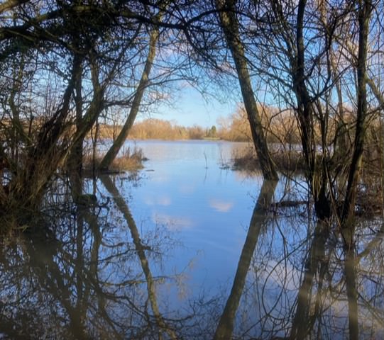 Flooding at St Mary's Fields