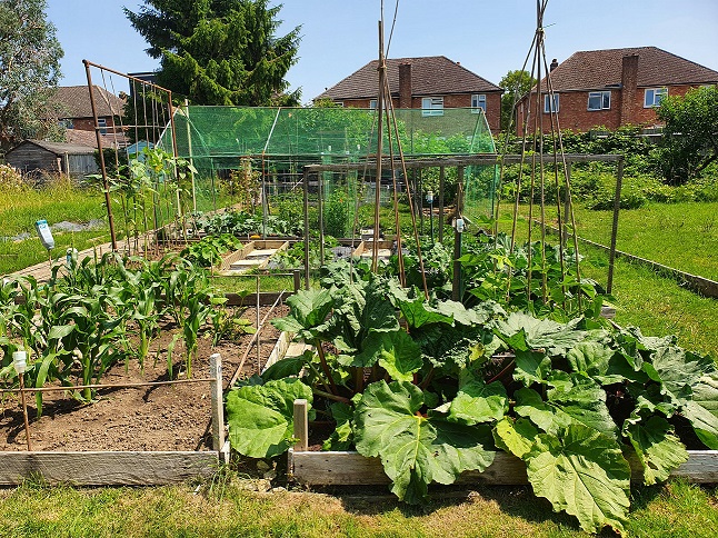Allotments